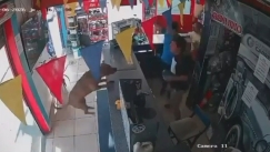 Υπέροχο βίντεο: Σκύλος... τρελάθηκε από τη χαρά του στους πανηγυρισμούς για το γκολ του Εκουαδόρ!