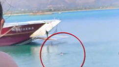 Ελαφόνησος: Αχάμπαρος τύπος πήγε στο ferry boat κολυμπώντας και ανέβηκε από τον ανοιχτό καταπέλτη (vid)