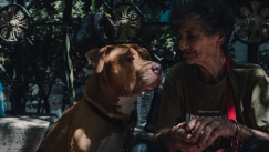 «Θα μου ραγίσει η καρδιά αν τα αποχωριστώ»: Η κυρία Δ. έμεινε άστεγη για να μη χάσει τα σκυλιά της