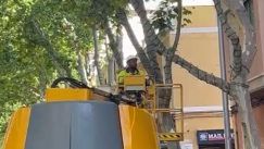 Οι “χειμωνάκηδες” τρίβουν τα χέρια τους: Με 40°C καύσωνα στη Μαγιόρκα και η Πάλμα στολίζει από Ιούλιο για τα Χριστούγεννα