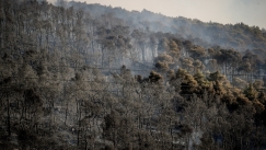 Αποκαρδιωτικά στοιχεία του Meteo: Κάηκε το 38% των δασών στην Αττική μέσα σε 9 χρόνια 
