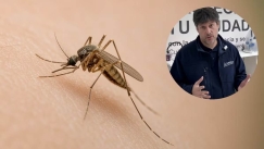 Επιστήμονας καταρρίπτει τον μύθο για τα κουνούπια: «Δεν ψάχνουν για το αίμα σου, ψάχνουν για τη μυρωδιά σου»