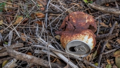 Από σκουριασμένη κονσέρβα σε αρχαιολογικό θησαυρό: Το εύρημα που εντυπωσίασε τους ειδικούς