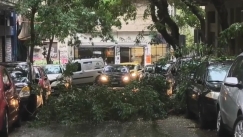 Κακοκαιρία: Διακόπηκε η κυκλοφορία στο κέντρο της Αθήνας από πτώση δέντρου