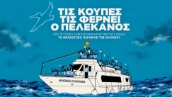 «Τις κούπες τις φέρνει ο πελεκάνος» – Η διαδρομή της ομάδας μπάσκετ της Μυκόνου σε ένα αθλητικό ντοκιμαντέρ!
