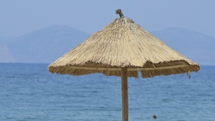 «Τέτοια ουρλιαχτά δεν είχα ξανακούσει»: Πώς έγινε η συμπλοκή στη Βουλιαγμένη με έναν νεκρό για μια ξαπλώστρα