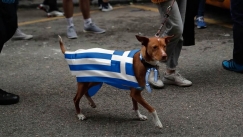 Σκύλοι με σημαίες; Οι ψυχολόγοι εξηγούν τι κρύβεται πίσω από την νέα μόδα της Ευρώπης
