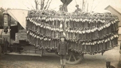 Το 1859 άφησαν 13 ευρωπαϊκά κουνέλια στην Αυστραλία: Μέχρι σήμερα πρόκειται για μια από τις μεγαλύτερες οικολογικές κρίσεις 