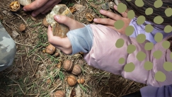 Στη Βαμβακού για καρυδόπιτα και αναζωογόνηση