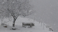 Πρόσφυγες εγκαταλείφθηκαν ξυπόλητοι σε αυτοκινητόδρομο σε πολικές θερμοκρασίες