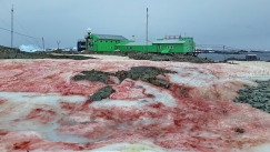 Το χιόνι βάφτηκε κόκκινο στην Ανταρκτική και... μυρίζει καρπούζι (pics)