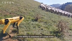 Ρομπότ-τσοπανόσκυλο προσέχει ένα κοπάδι πρόβατα (vid)