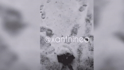 Απίστευτη χαλαζόπτωση στην Ξάνθη: Μάζευαν το χαλάζι με φτυάρι (vid)