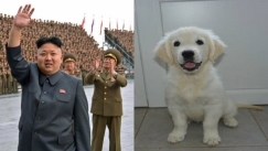 «Είναι σύμβολο καπιταλιστικής παρακμής»: Ο Κιμ Γιονγκ Ουν καλεί τους Βορειοκορεάτες να παραδώσουν τους σκύλους τους!