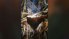 Σπάνιο βίντεο: Τράβηξε σπόρους να «χορεύουν» πάνω από μανιτάρι (vid)