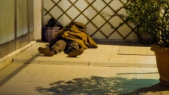 Απίστευτο περιστατικό στην Κρήτη: Έκλεψαν χρήματα από άστεγο