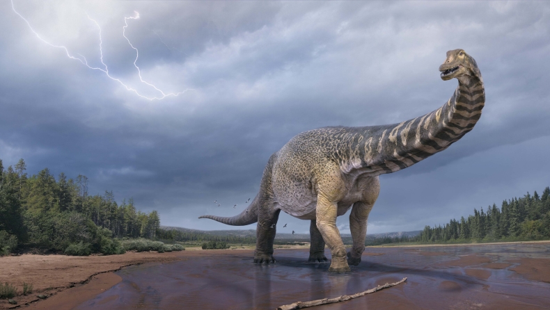  Ανακαλύφθηκε δεινόσαυρος που είχε μήκος όσο ένα γήπεδο μπάσκετ
