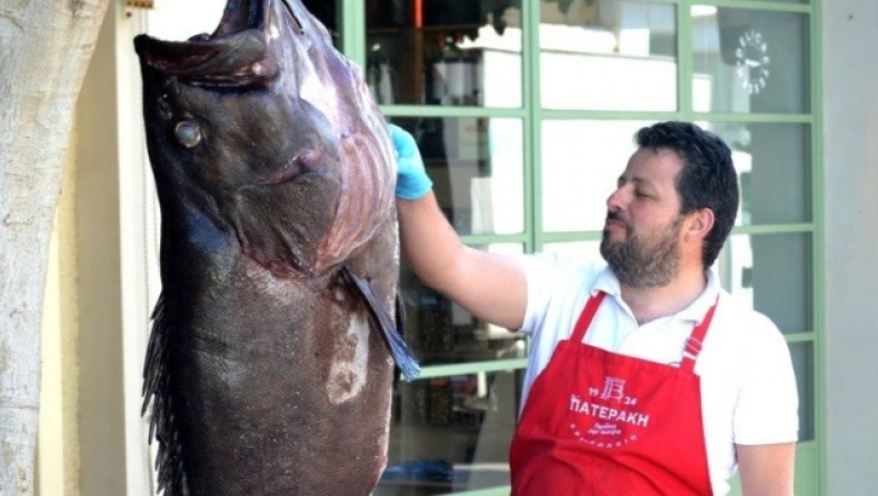 Ψαράς στα Χανιά έπιασε ψάρι 55 κιλών (pics)