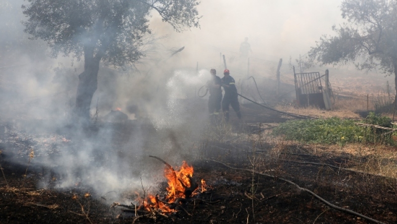 Πυρκαγιές σε Βαρνάβα και Ελευσίνα