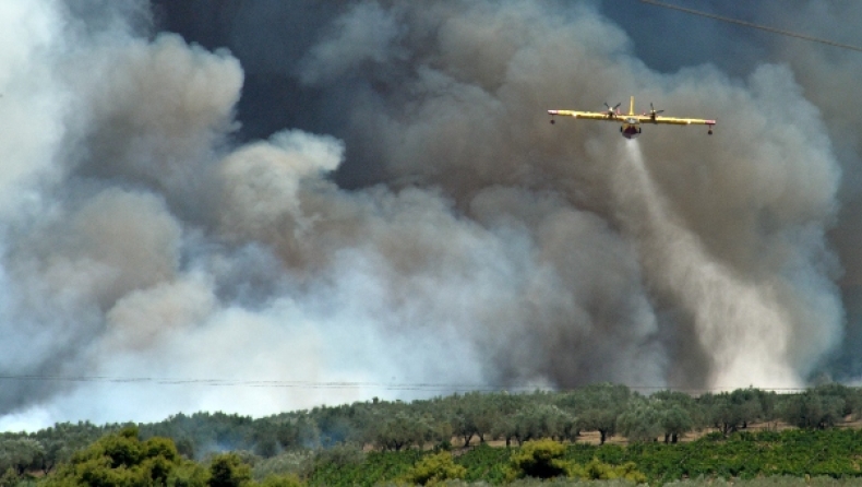 Φωτιές σε Χαλκιδική, Επίδαυρο και Εύβοια: Δρουν επίγειες και εναέριες δυνάμεις (pics)