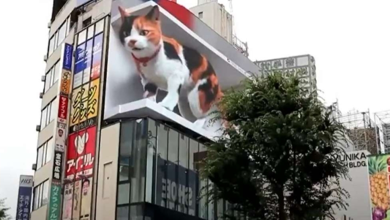 Τρισδιάστατη γιγαντιαία γάτα στο Τόκιο μαγνητίζει τα βλέμματα (vid)
