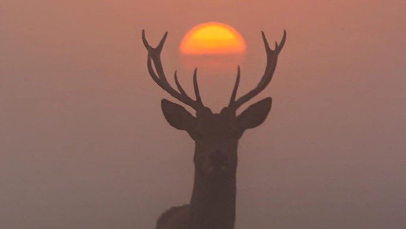 Shake n' Bake: Τέσσερις νίκες μακριά