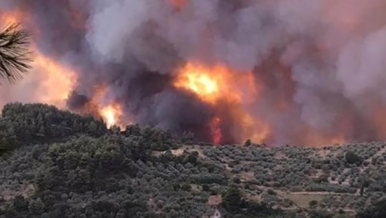 Καπνός και έλλειψη ορατότητας κρατούν καθηλωμένα τα εναέρια μέσα στην Εύβοια