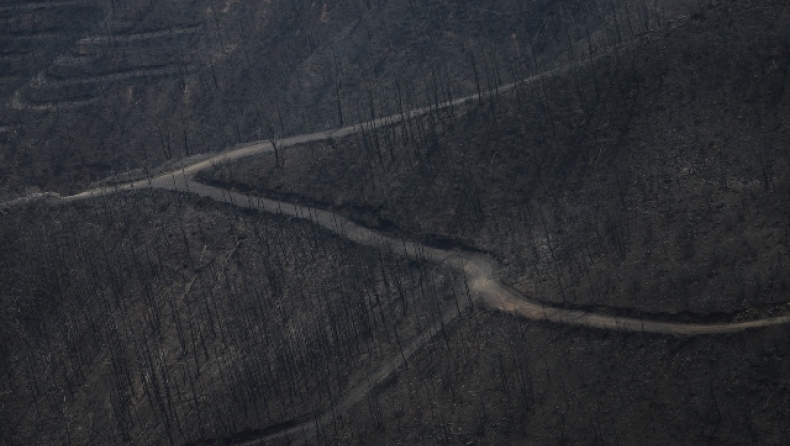 Η φωτιά κατέστρεψε 192.700 στρέμματα δασικής βλάστησης στην Βόρεια Εύβοια