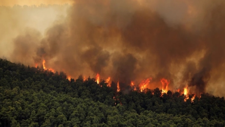 Η φωτιά στα Βίλια συνεχίζεται για πέμπτη ημέρα: Μικρές αναζωπυρώσεις το πρωί, μάχη στο νότιο τμήμα (vid)