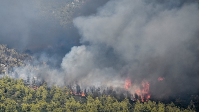 Φωτιά στα Βίλια: Μεγάλο το μέτωπο κοντά στον οικισμό, στις φλόγες ένα σπίτι (vids)