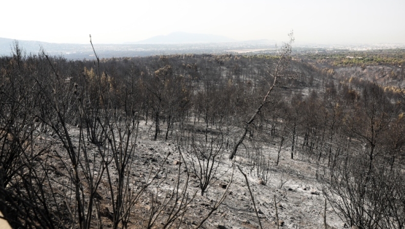 Κάηκαν πάνω από 1 εκατ. στρέμματα σε δύο εβδομάδες στην Ελλάδα