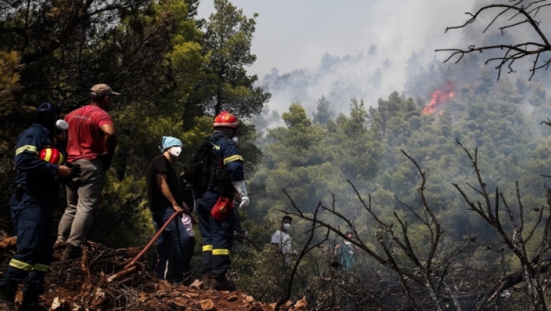 Φωτιά στα Βίλια: Κάηκαν σπίτια στον οικισμό Προφήτης Ηλίας, στη μάχη με τις φλόγες 21 εναέρια μέσα (vid)
