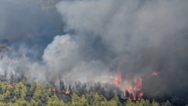 Φωτιά στα Βίλια: Κάηκαν σπίτια στον οικισμό Καραούλι, κατεβαίνει προς Μέγαρα η πυρκαγιά (vid)