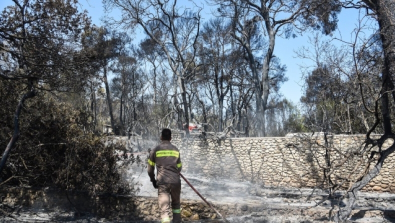 Καλύτερη είναι η εικόνα που παρουσιάζει η φωτιά στην περιοχή Ζήρια, ξεκινούν έρευνες για τα αίτια