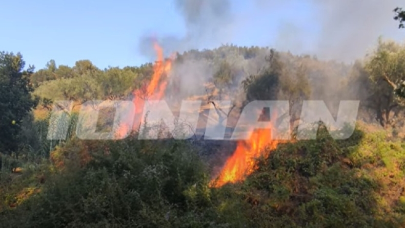 Φωτιά στην Ζάκυνθο: Στις αυλές των σπιτιών η πυρκαγιά στο Αργάσι, προσαγωγή ενός νεαρού άνδρα (vid)