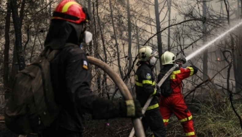 Meteo: Καμένο το ένα τρίτο των δασών της Εύβοιας από τις πυρκαγιές (pic)