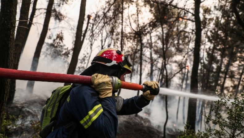 Πρόεδρος Ομοσπονδίας Πυροσβεστών: «Εκτιμώ ότι θα έχουμε τελειώσει με την φωτιά στην Εύβοια σήμερα το βράδυ ή αύριο το πρωί» (vid)