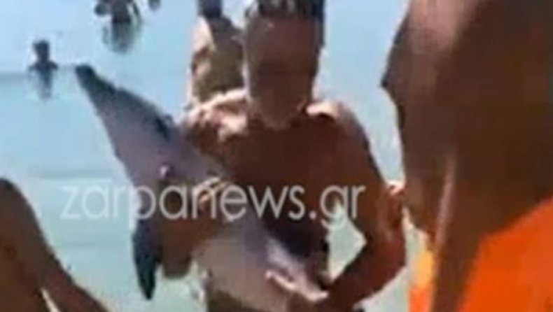 Μικρό δελφίνι εμφανίστηκε στο Μαράθι Χανίων, κολυμπούσε ανάμεσα στους λουόμενους (vid)