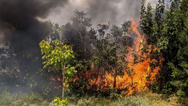 Μεγάλη φωτιά στη Μεγαλόπολη: Μήνυμα εκκένωσης από το 112 (pics)