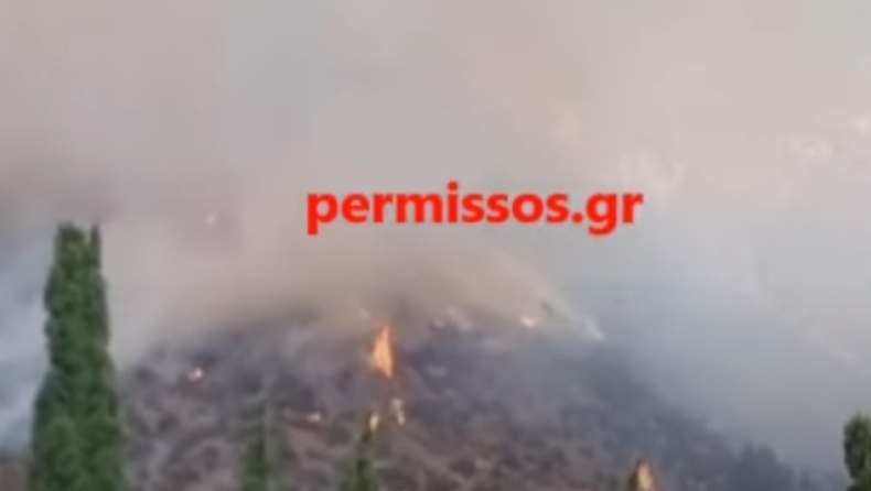 Φωτιά στην παραλία Διστόμου: Μήνυμα από το 112 στους κατοίκους να βρίσκονται σε ετοιμότητα(vid)
