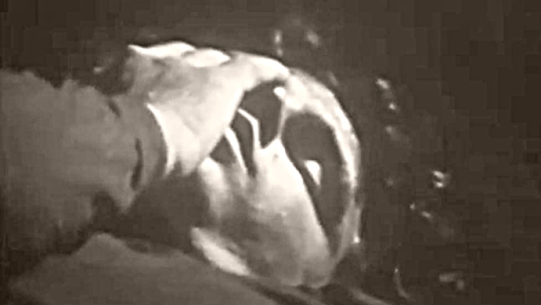Η νύχτα που ο Jim Morrison «πέθανε» και τον επανέφεραν (pics & vid)