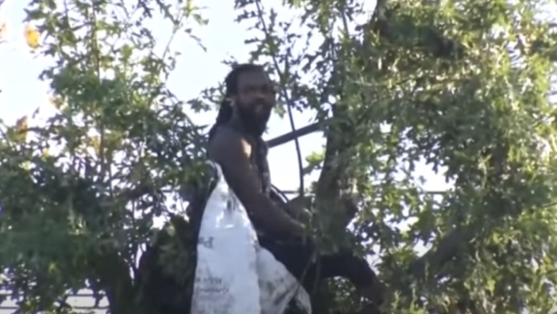 Έμεινε σχεδόν 3 μέρες πάνω σε δέντρο για να τον πιάσει η αστυνομία (vid)