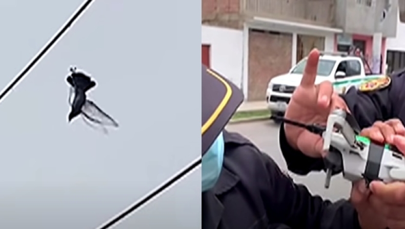 Αστυνομικοί σώζουν περιστέρι με drone από καλώδια υψηλής τάσης (vid)