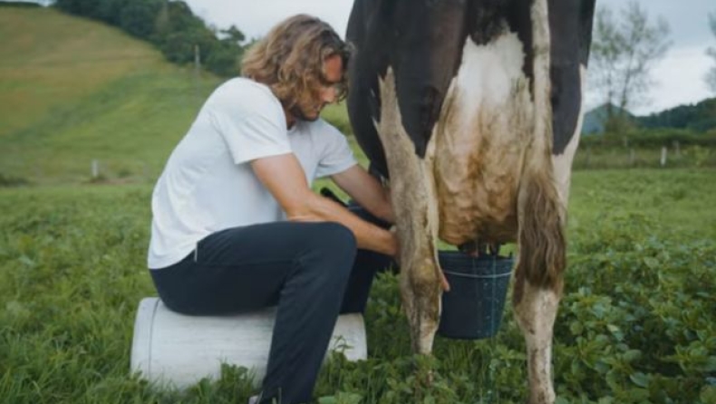 Ο Τσιτσιπάς αρμέγει αγελάδα στις Αζόρες (vid)