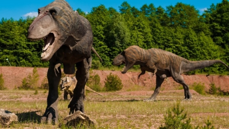 Ανακαλύφθηκε στην Ιταλία το μεγαλύτερο «νεκροταφείο» δεινοσαύρων, ηλικίας 80 εκατομμυρίων ετών