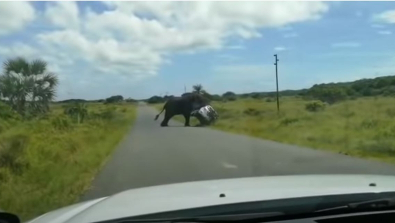 Εξαγριωμένος ελέφαντας επιτίθεται σε αυτοκίνητο (vid)