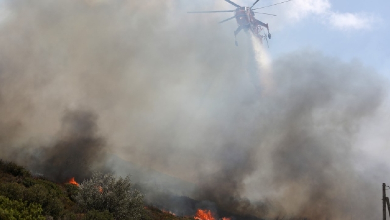 Το 2021 κάηκαν τόσα στρέμματα στην Ελλάδα όσα κατά την οκταετία 2013–2020