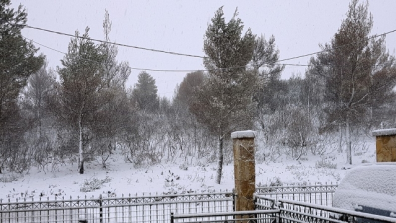 Μαρουσάκης: «Χιόνια στην Αττική στα μέσα του Γενάρη», οι πρώτες εκτιμήσεις (vid)