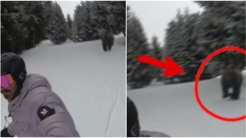 Βραζιλιάνος DJ έκανε σκι και είδε μετά σε βίντεό του ότι τον κυνηγούσε αρκούδα! (vid)