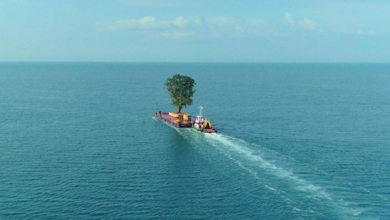 Δέντρα μέσα στη θάλασσα: Το παράξενο χόμπι του πλουσιότερου ανθρώπου στη Γεωργία